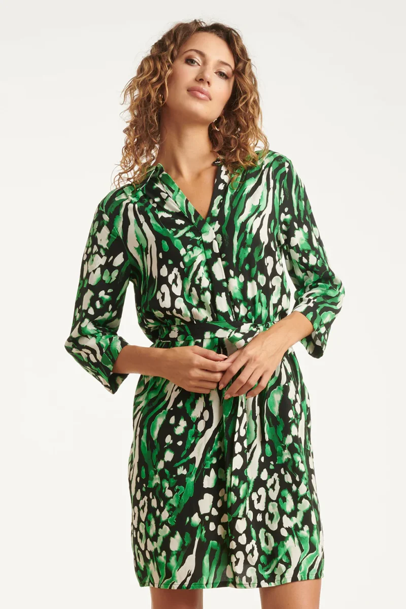 25679 Groen En Zwart Dierenprint Jurk Met V-Hals En Kraag | Black - Green - Afbeelding 4