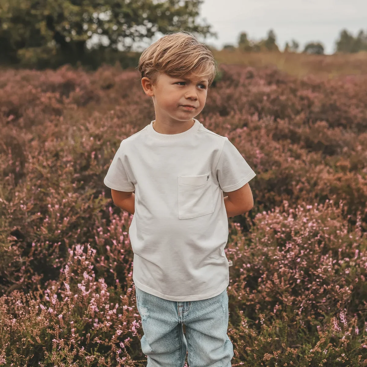 Solid | Regular Tee | Cloud Dancer - Afbeelding 3